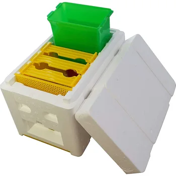 X36 Новая Модель Mini Nucs Комплектный Мини-Улей для Спаривания с Пластиковыми Рамками Съемный Питатель Пчеловодческий Ящик Для Опыления