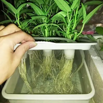 Гидропонная система с 6 отверстиями для беспочвенного выращивания растений В питомнике Grow Kit