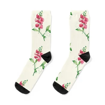 Носки Everlasting в горошек с ботанической иллюстрацией, роскошные велосипедные детские мужские носки, женские