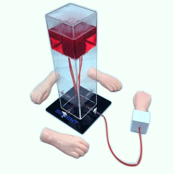Точное ультразвуковое наведение, фантомный усовершенствованный тренажер для измерения артериального давления на ладонях, навыки медицинской подготовки Повышают клиническое мастерство