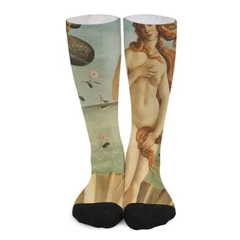 Носки Sondro Botticelli 