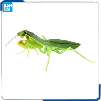Серия насекомых-имитаторов Bandai Mantis, паук-скорпион, оса, модели в разных стилях, фигурки, игрушки в наличии